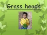 Grass heads