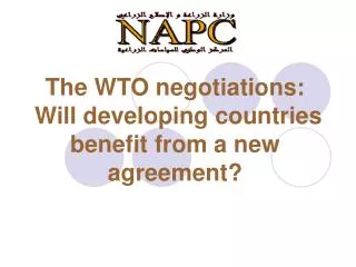 The WTO negotiations: Will developing countries benefit from a new agreement?