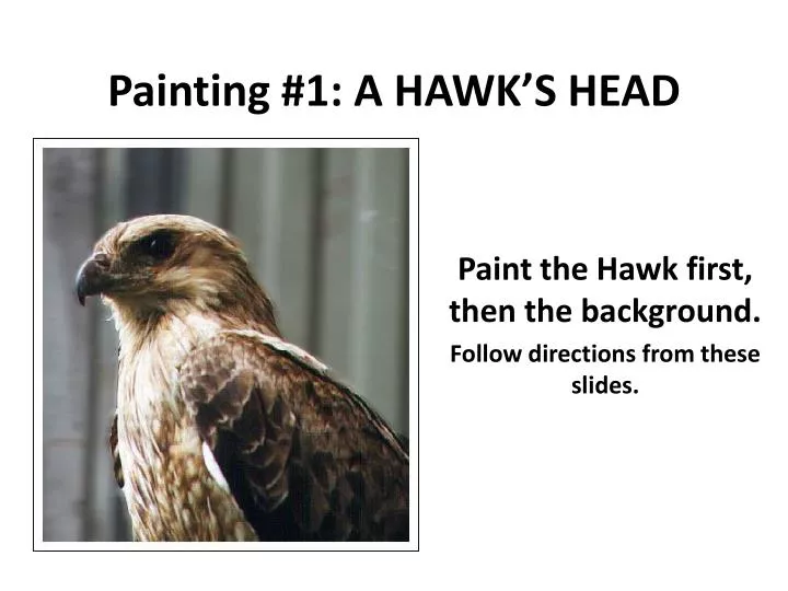 painting 1 a hawk s head