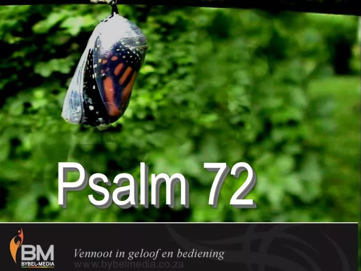 psalm 72