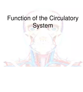 Function of the Circulatory System