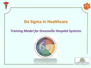 Six Sigma in Healthcare Training Model for Greenville Hospital Systems