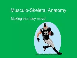Musculo-Skeletal Anatomy