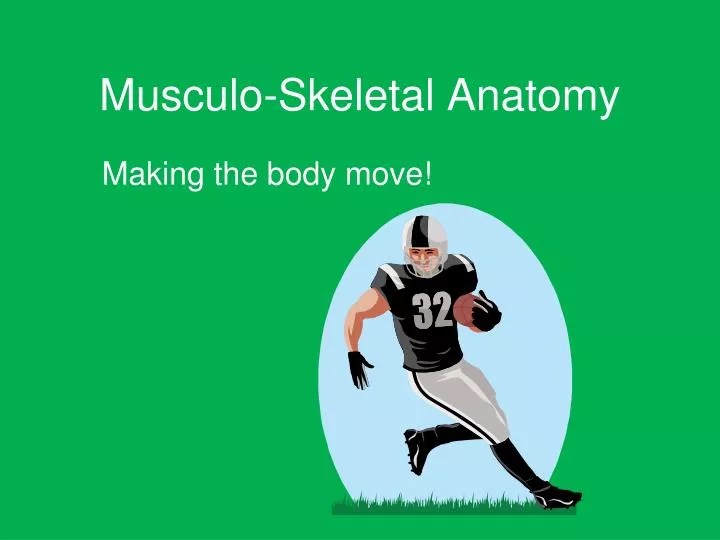 musculo skeletal anatomy