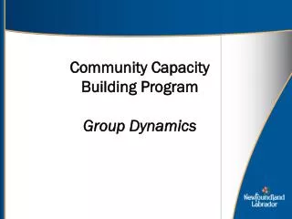 Community Capacity Building Program Group Dynamics