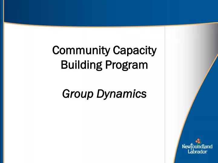 community capacity building program group dynamics
