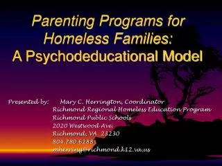 Parenting Programs for Homeless Families: A Psychodeducational Model