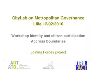CityLab on Metropolitan Governance Lille 12/02/2010 Workshop Identity and citizen participation