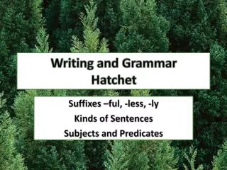 Writing and Grammar Hatchet