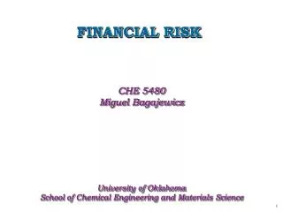 FINANCIAL RISK