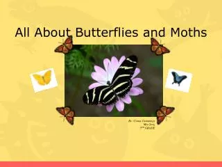 All About Butterflies and Moths