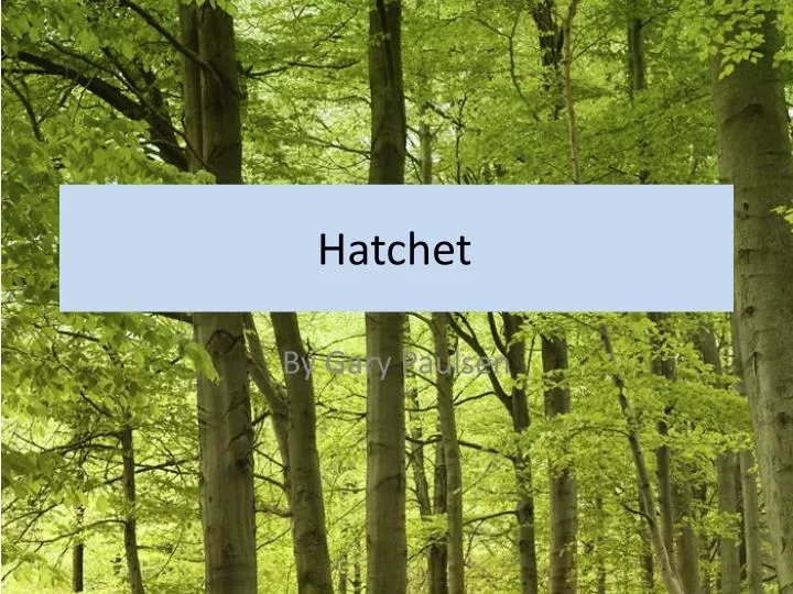 hatchet