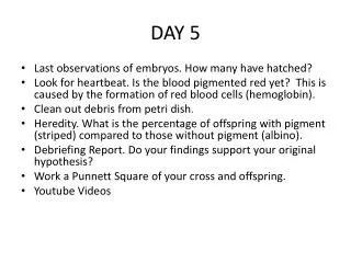 day 5