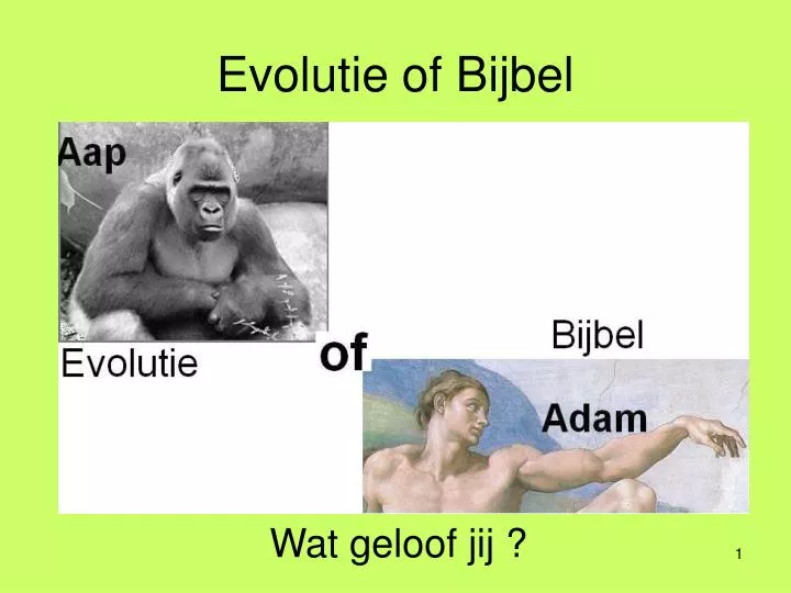 evolutie of bijbel