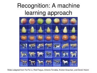 Recognition: A machine learning approach