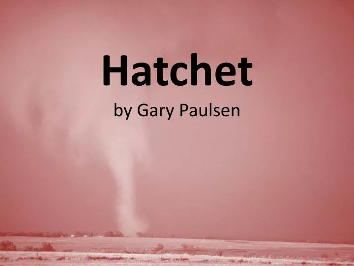 hatchet by gary paulsen