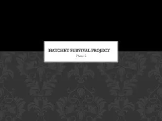 Hatchet Survival project