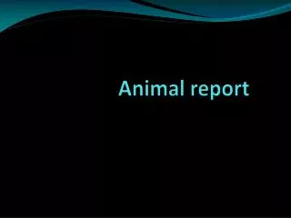 Animal report