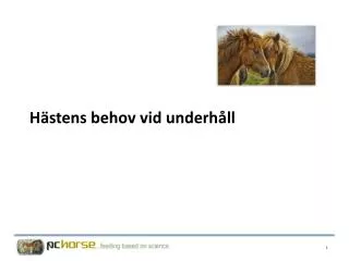 h stens behov vid underh ll