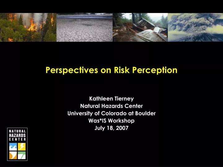 perspectives on risk perception