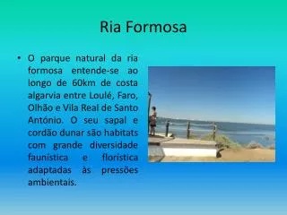 ria formosa