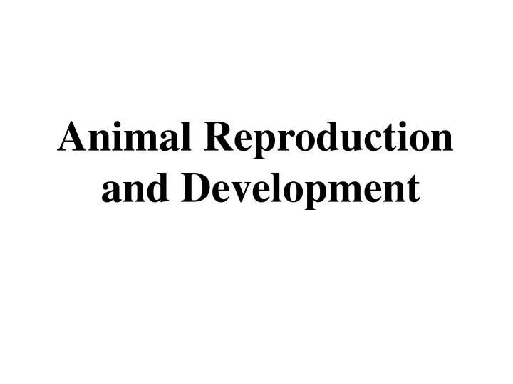 PPT - Animal Reproduction and Development PowerPoint Presentation, free ...