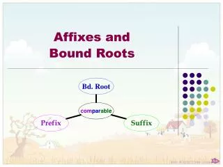 Affixes and Bound Roots