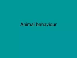 Animal behaviour