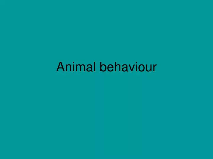 PPT - Animal Behaviour PowerPoint Presentation, Free Download - ID:2775122