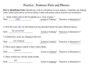 Practice: Sentence Parts and Phrases