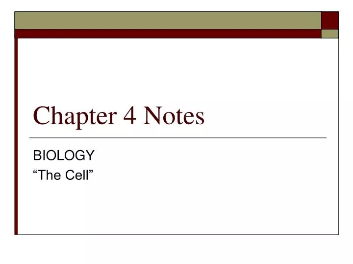 chapter 4 notes