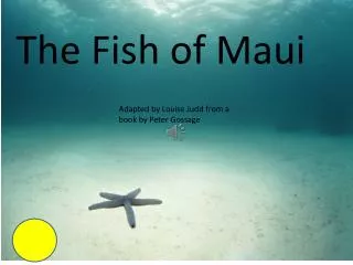 The Fish of M aui