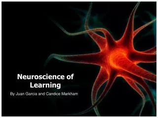 neuroscience of learning