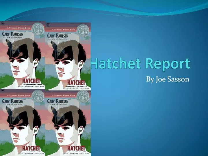 hatchet report