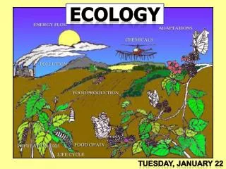 Ecology