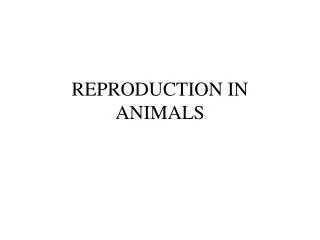 REPRODUCTION IN ANIMALS