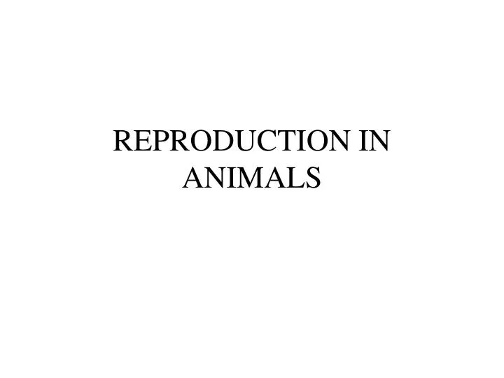 PPT - REPRODUCTION IN ANIMALS PowerPoint Presentation, free download ...