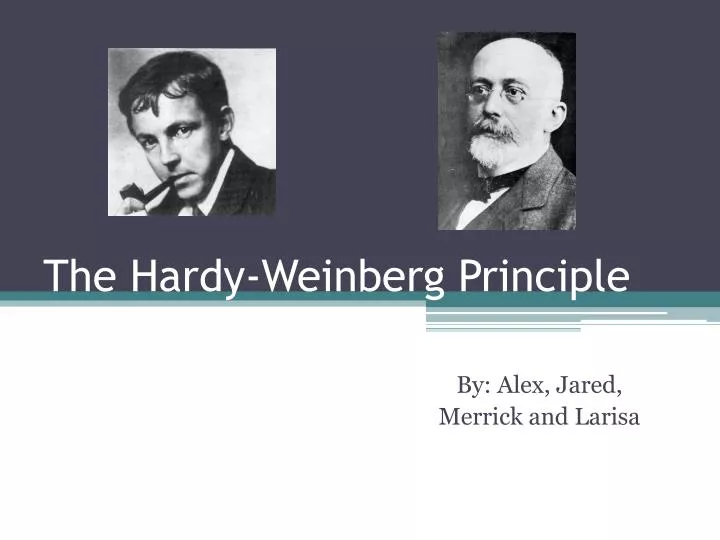 the hardy weinberg principle
