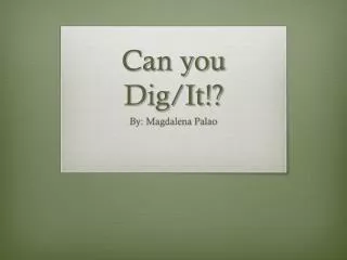 Can you Dig/It!?