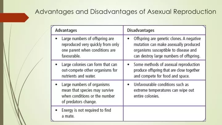 advantages and disadvantages of asexual reproduction