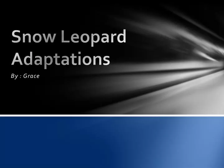 snow leopard adaptations