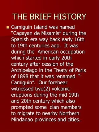 THE BRIEF HISTORY