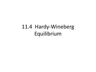 11.4 Hardy- Wineberg Equilibrium