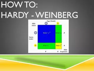 How to: Hardy - Weinberg