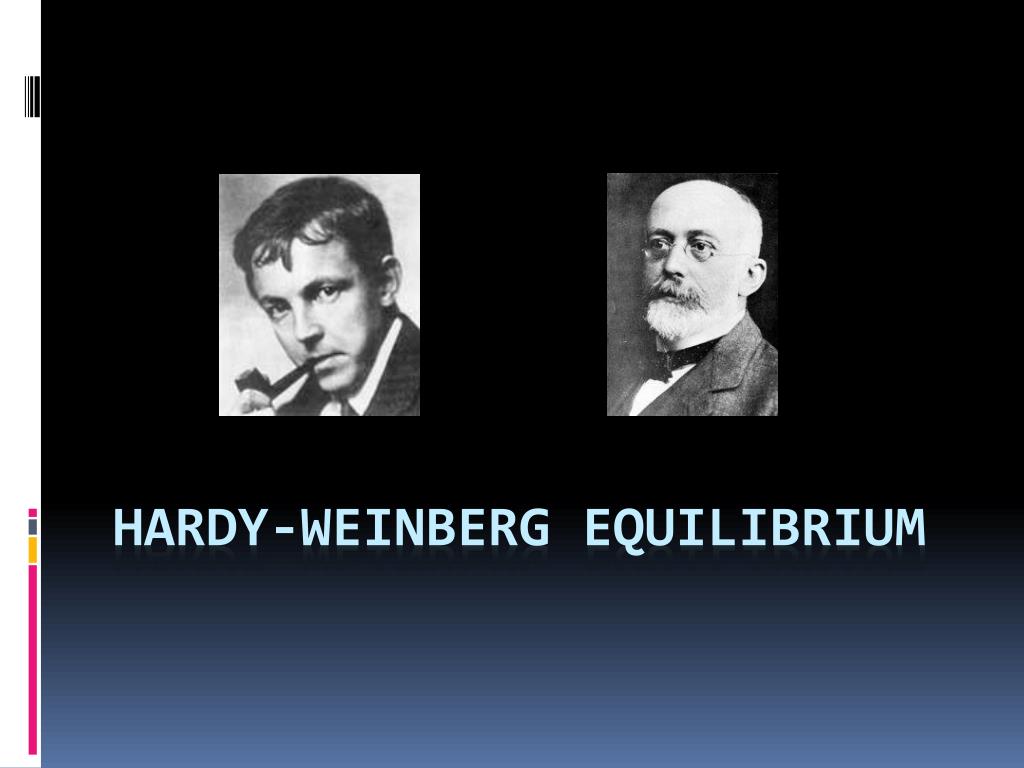PPT - Hardy-Weinberg Equilibrium PowerPoint Presentation, free download ...