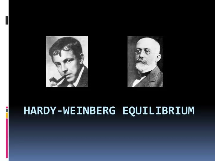 hardy weinberg equilibrium