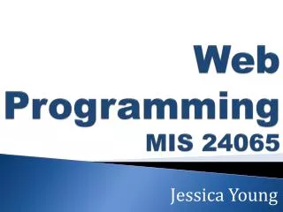 Web Programming MIS 24065