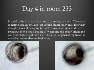 Day 4 in room 233