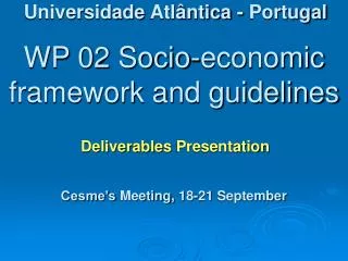 WP 02 Socio-economic framework and guidelines