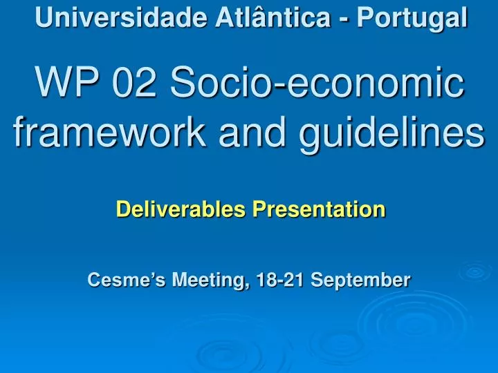 wp 02 socio economic framework and guidelines